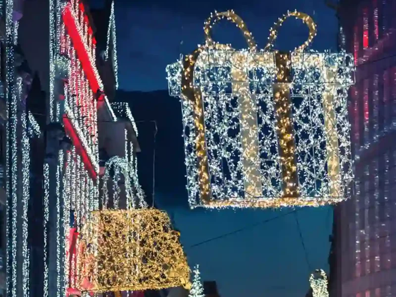 Competitive Price Christmas LED motif garden use Manufacturer