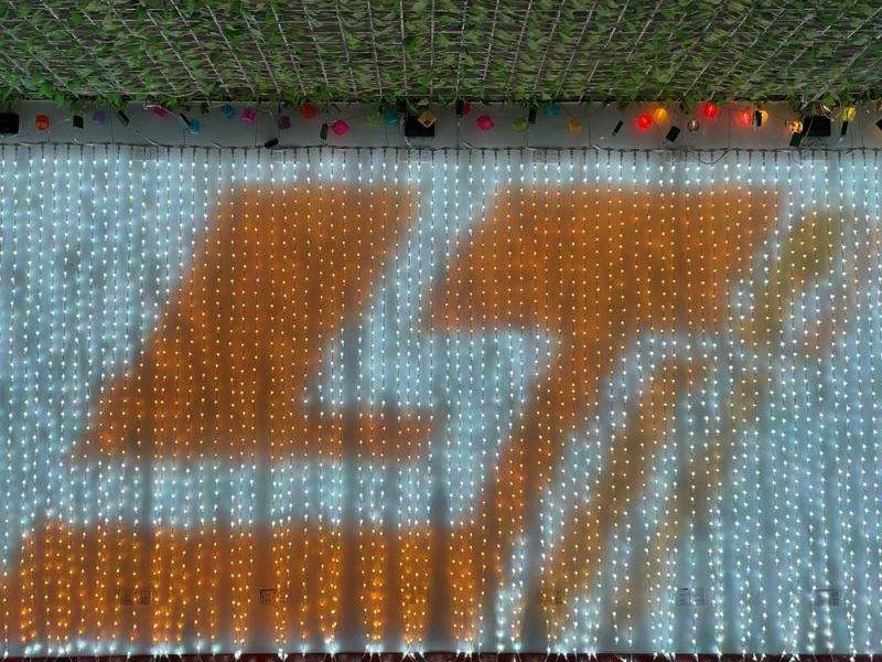 Customized light effects PVC LED Digital curtain smart christmas light