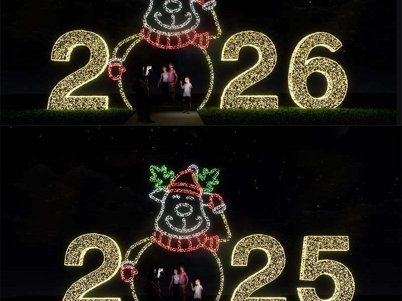 New Design 2026 Christmas Motif Light
