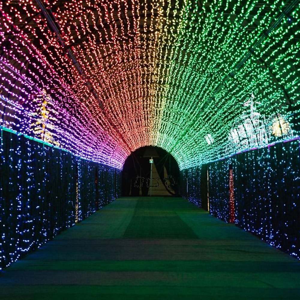 Smart Decoration Light